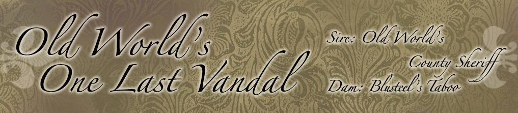 cane corso old world vandal